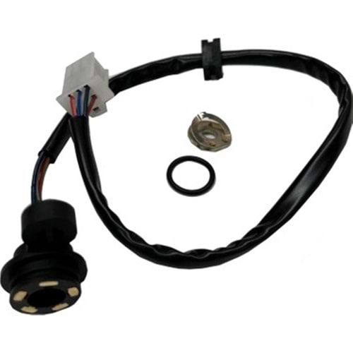 CUP100LUK VİTİS MÜŞÜRÜ